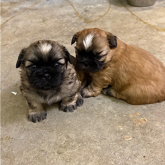 Meet your Posher, Denise - Picture 15 of 16